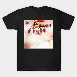 Cherry Blossom T-Shirt